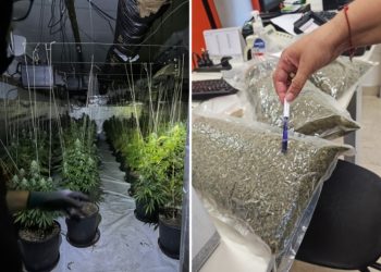 Zbulohet një depo e madhe droge në Itali, arrestohet një shqiptar dhe një francez