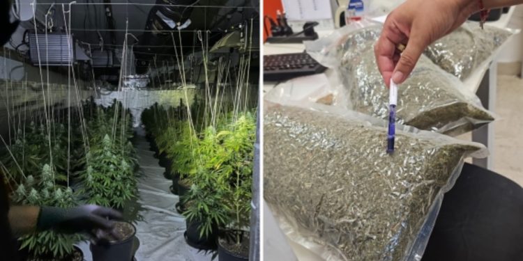 Zbulohet një depo e madhe droge në Itali, arrestohet një shqiptar dhe një francez