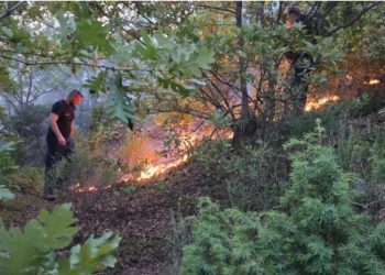Situata e zjarreve, Ministria e Mbrojtjes: Gjatë 24 orëve të fundit janë raportuar 22 vatra! 5 janë ende aktive