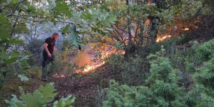 Situata e zjarreve, Ministria e Mbrojtjes: Gjatë 24 orëve të fundit janë raportuar 22 vatra! 5 janë ende aktive