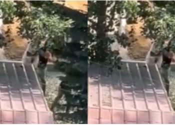 Sherri në Pogradec me kryeplakun/ Arrestohet Jetmir Muçllari, ndërtoi pa leje në zona të mbrojtura