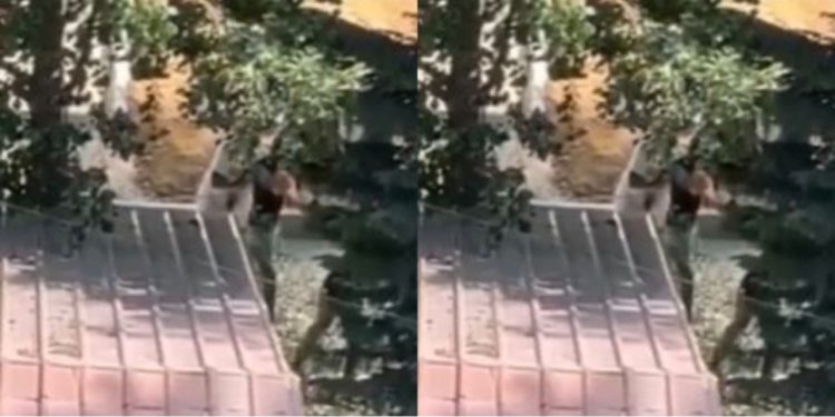 Sherri në Pogradec me kryeplakun/ Arrestohet Jetmir Muçllari, ndërtoi pa leje në zona të mbrojtura