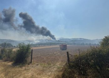 Fiken vatrat e zjarrit në bashkinë e Belshit, Italia dërgon trupa dhe dy avionë “Canadair” për shuarjen e flakëve në Parkun Kombëtar të Lurës