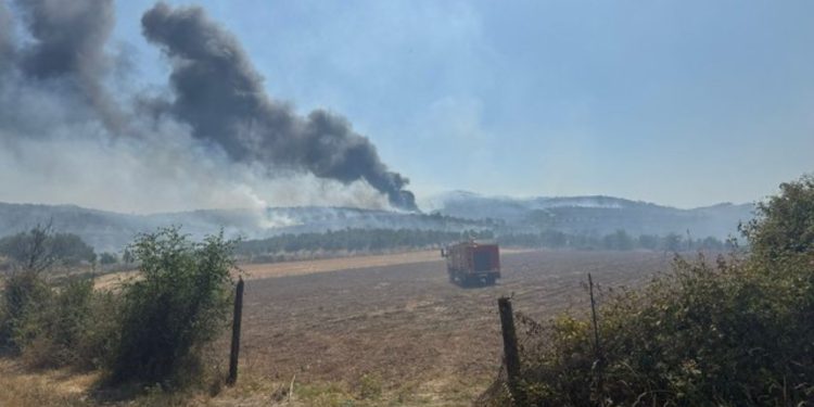 Fiken vatrat e zjarrit në bashkinë e Belshit, Italia dërgon trupa dhe dy avionë “Canadair” për shuarjen e flakëve në Parkun Kombëtar të Lurës