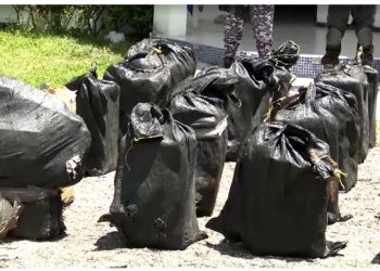 Kapet në mes të detit kokainë me vlerë 33 milionë dollarë