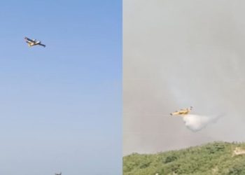 VIDEO/ Zjarri në Shashicë, dy avionë Canadair kroat dhe italian vijnë në ndihmë për shuarjen e flakëve