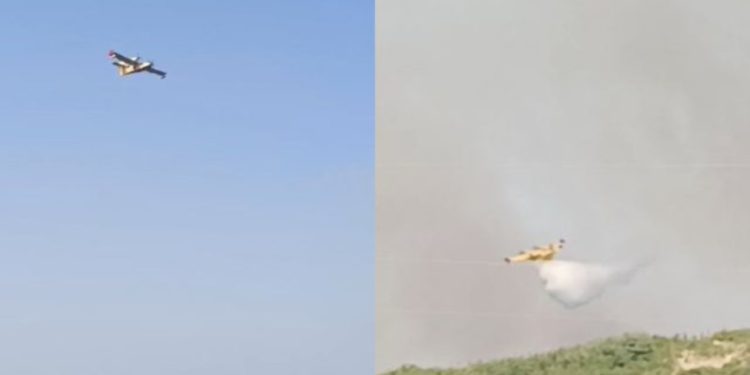 VIDEO/ Zjarri në Shashicë, dy avionë Canadair kroat dhe italian vijnë në ndihmë për shuarjen e flakëve