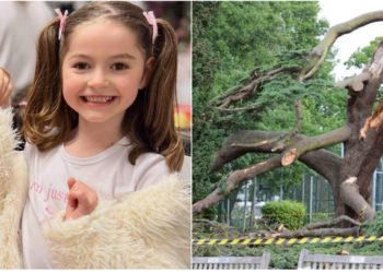 EMRI/ E rëndë në Londër/ Pema zë poshtë 5 fëmijë shqiptarë në një park lojrash, humb jetën 7-vjeçarja, motra e saj në gjendje kritike