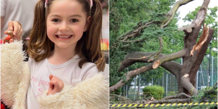 EMRI/ E rëndë në Londër/ Pema zë poshtë 5 fëmijë shqiptarë në një park lojrash, humb jetën 7-vjeçarja, motra e saj në gjendje kritike