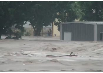 E rëndë në Teksas/ Lumi del nga shtrati dhe merr përpara kampet, disa të vdekur dhe disa të zhdukur