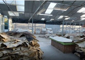 Laboratori i kokainës në Greqi/ Zbardhen EMRAT e tre shqiptarëve të arrestuar, “Koka” e grupit në arrati në Spanjë, ja si vepronte organizata kriminale