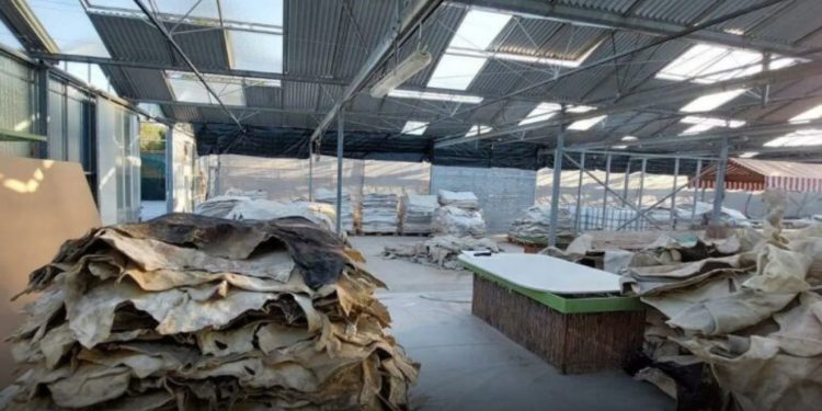 Laboratori i kokainës në Greqi/ Zbardhen EMRAT e tre shqiptarëve të arrestuar, “Koka” e grupit në arrati në Spanjë, ja si vepronte organizata kriminale