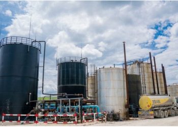 Bankers, aktivitet 20-vjeçar me humbje – Inxhinieri ngre pyetjen: Nëse ka humbje pse kërkon zgjatje kontrate?