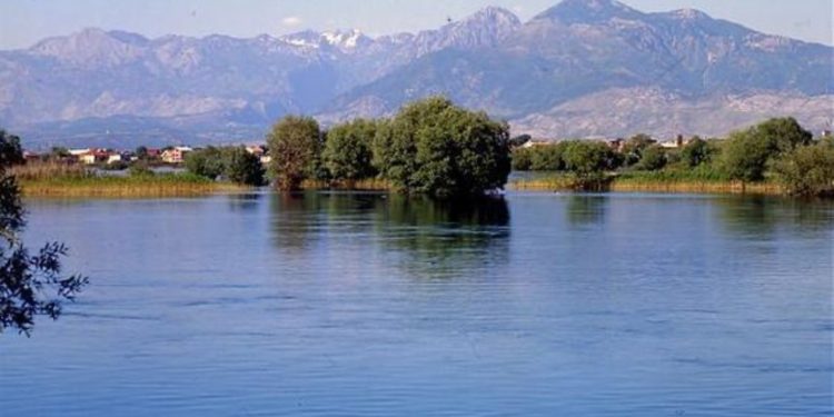 U fut në liqen për të shpëtuar turistët, mbytet kapiteni i anijes në Shkodër, vijojnë kërkimet për gjetjen e trupit