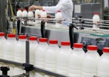 Ulet prodhimi i qumështit natyral, rritet importi i qumështit pluhur dhe vajit të palmës: Drama e prodhuesit dhe konsumatorit shqiptar