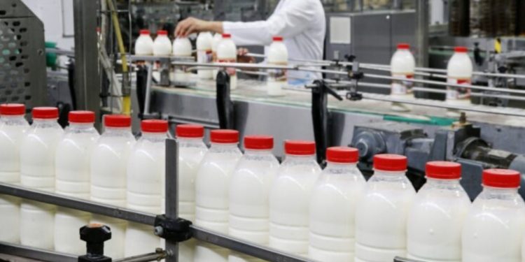 Ulet prodhimi i qumështit natyral, rritet importi i qumështit pluhur dhe vajit të palmës: Drama e prodhuesit dhe konsumatorit shqiptar