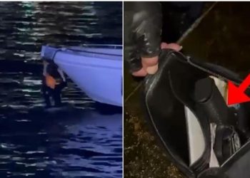 EMRI/ Skena si në filma mbrëmë në Sarandë/ Të rinjtë me armë në makinë, njëri u hodh në det që t’i shpëtonte policisë, 3 në pranga