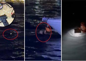 U arrestua në Sarandë dhe rezulton i përfshirë në ngjarjen e rëndë kriminale, kush është Ervis Cukali