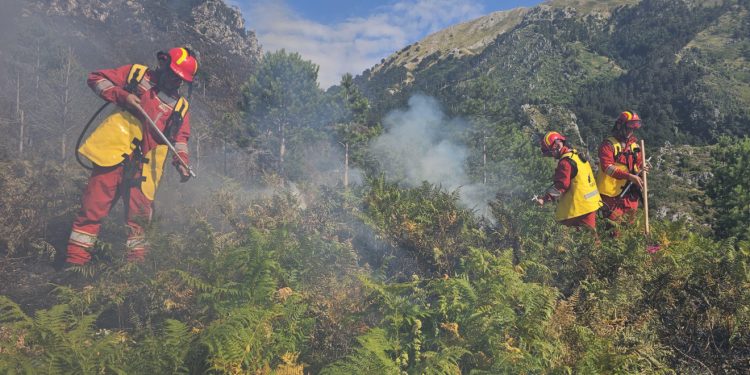 Zjarret në vend/ Ministria e Mbrojtjes: Në 24 orët e fundit janë raportuar 21 vatra, 5 janë ende aktive