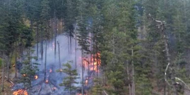 Zjarri në Parkun Kombëtar të Lurës vijon të jetë jashtë kontrollit, ndërhyrje nga ajri me helikopter
