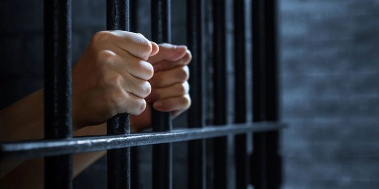 Arratisje si në filma në burgun e Francës/ 20-vjeçari del nga qelia duke u fshehur brenda në çantën e një të burgosuri tjetër