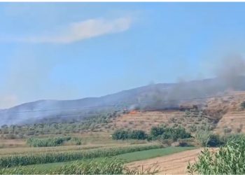 Zjarr masiv në kodrat e Peqinit dhe Rrogozhinës, ndërhyhet nga ajri me dy helikopterë për fikjen e flakëve