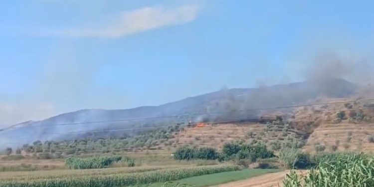 Zjarr masiv në kodrat e Peqinit dhe Rrogozhinës, ndërhyhet nga ajri me dy helikopterë për fikjen e flakëve