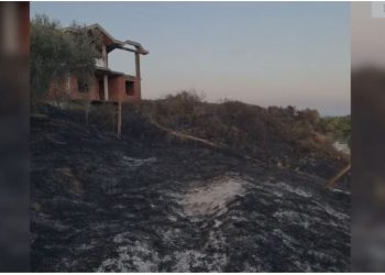 EMRI/ Ndezi zjarr dhe dogji qindra pemë frutore, ullinj dhe 10 ha bimësi në Rrogozhinë, përfundon në pranga 41-vjeçari