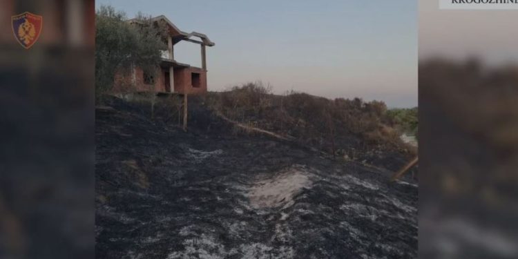EMRI/ Ndezi zjarr dhe dogji qindra pemë frutore, ullinj dhe 10 ha bimësi në Rrogozhinë, përfundon në pranga 41-vjeçari