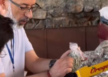 VIDEO/ “Të verbuar” nga urdhrat e Ramës, inspektori i tatimeve kërkon faturë për çajin e malit, injoron kushtet higjeno-sanitare të tregut në Sarandë