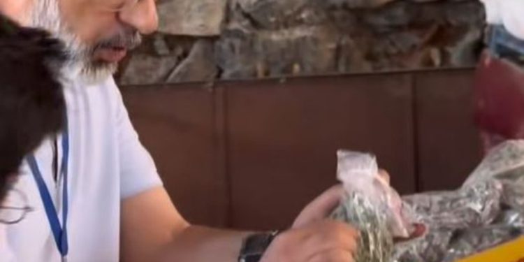 VIDEO/ “Të verbuar” nga urdhrat e Ramës, inspektori i tatimeve kërkon faturë për çajin e malit, injoron kushtet higjeno-sanitare të tregut në Sarandë