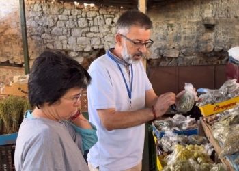 Tregtarët ambulantë/ Administrata Tatimore: Nuk kanë detyrim për të lëshuar faturë dhe as për të mbajtur dokumentacion për mallrat apo shërbimet