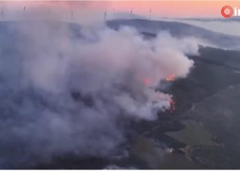 VIDEO/ Zjarr i ri masiv në Turqi, evakuohen shtatë vendbanime, 4 persona në spital me probleme të frymëmarrjes