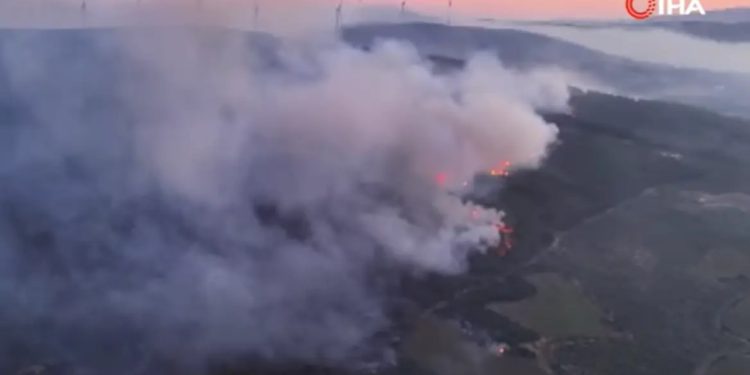 VIDEO/ Zjarr i ri masiv në Turqi, evakuohen shtatë vendbanime, 4 persona në spital me probleme të frymëmarrjes