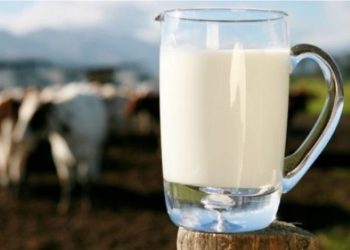 Fatura që po shteron qumështin, fshati po “vdes”