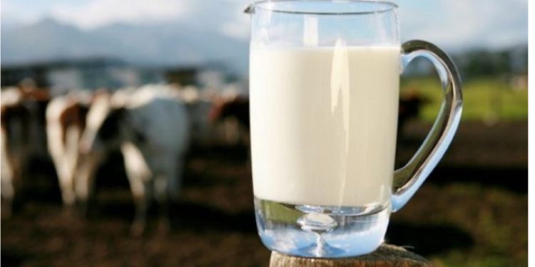 Fatura që po shteron qumështin, fshati po “vdes”