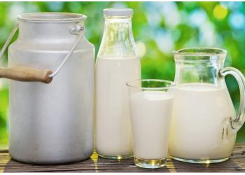 Marketet e vogla mbeten pa furnizime qumështi, Tatimet sqarojnë si do të bëhen faturat