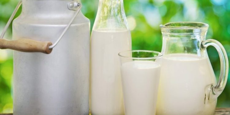 Marketet e vogla mbeten pa furnizime qumështi, Tatimet sqarojnë si do të bëhen faturat