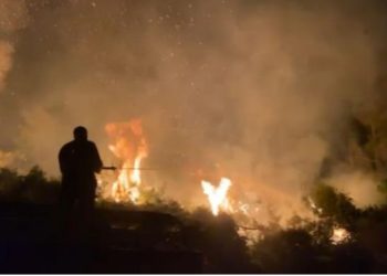 Zjarri në Drenovë, përhapja rrezikon nënstacioni elektrik