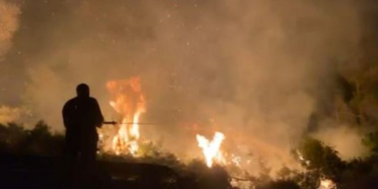 Zjarri në Drenovë, përhapja rrezikon nënstacioni elektrik