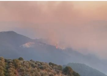 Del jashtë kontrollit zjarri në Drenovë të Mallakastrës, era e fortë favorizon flakët