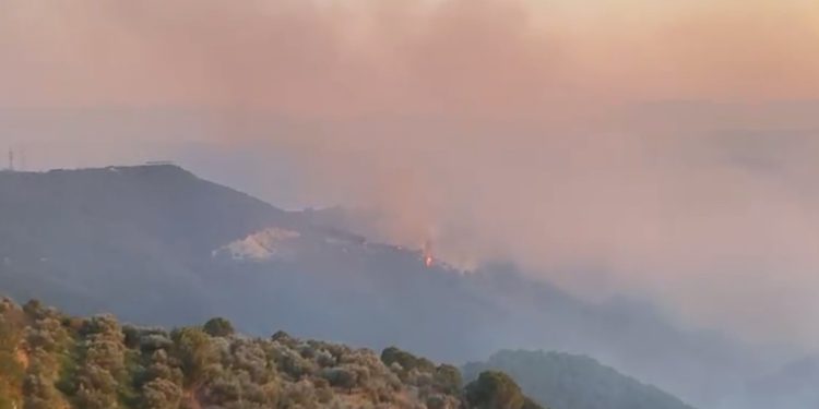 Del jashtë kontrollit zjarri në Drenovë të Mallakastrës, era e fortë favorizon flakët