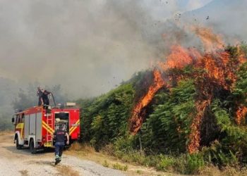 Situatë alarmante nga flakët / Rrezik i lartë në Fier, një vatër aktive në Skrapar! Qindra hektarë pyjesh të djegur në Klos, Mat, Dibër e Bulqizë.