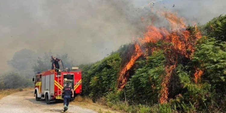 Situatë alarmante nga flakët / Rrezik i lartë në Fier, një vatër aktive në Skrapar! Qindra hektarë pyjesh të djegur në Klos, Mat, Dibër e Bulqizë.