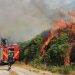 Situatë alarmante nga flakët / Rrezik i lartë në Fier, një vatër aktive në Skrapar! Qindra hektarë pyjesh të djegur në Klos, Mat, Dibër e Bulqizë.