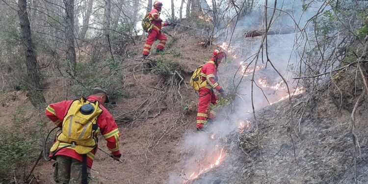 12 zjarre aktive në 12 orët e fundit në vend/ Situata më kritike në Pishë-Poro, katër helikopterë po ndihmojnë në kontrollin e flakëve