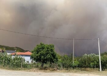 14:10

Një i moshuar ndërron jetë si pasojë e zjarreve në Gramsh - viktima e parë në vend.