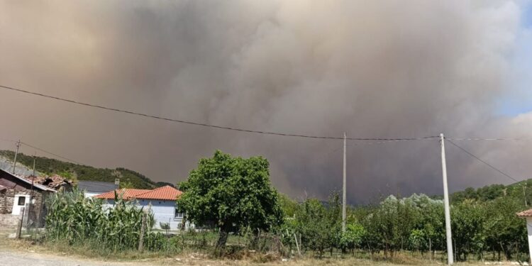 14:10
Një i moshuar ndërron jetë si pasojë e zjarreve në Gramsh - viktima e parë në vend.