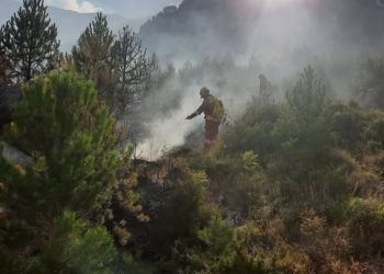16 vatra zjarri brenda 24 orëve: Vetëm një aktiv në Skrapar, nën vëzhgim flakët në Parkun Kombëtar të Lurës.
