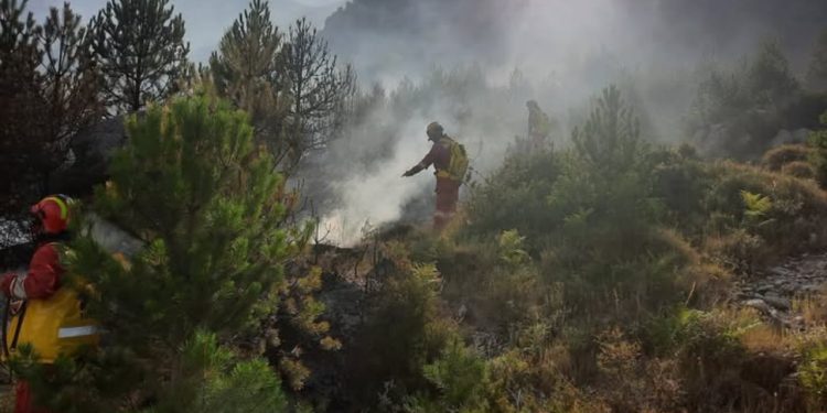 16 vatra zjarri brenda 24 orëve: Vetëm një aktiv në Skrapar, nën vëzhgim flakët në Parkun Kombëtar të Lurës.